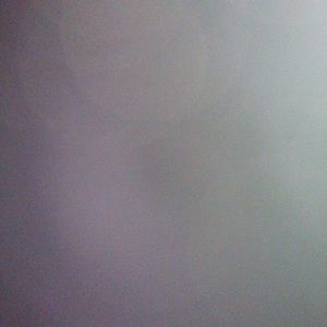 Meet your Posher, Cogno